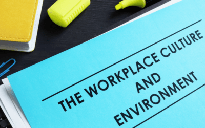 Developing Workplace Culture from Higher Management’s Perspective
